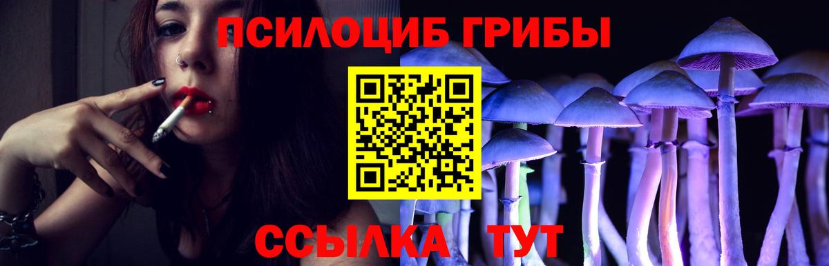 Псилоцибиновые грибы Psilocybe Пыть-Ях